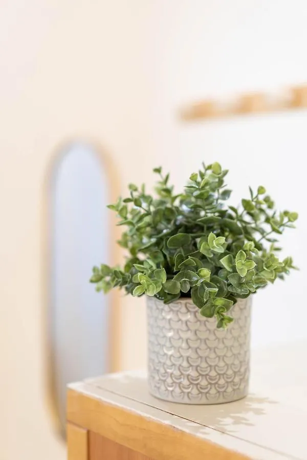 Cosmea By Dimorra Apartment Naples Italy